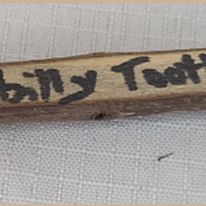 Hillbilly Toothbrush
